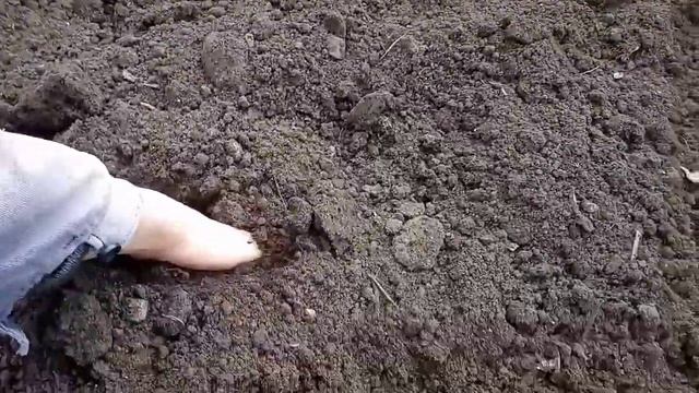 Самый честный расход топлива мотоблока Зубр 6.1лс смотреть онлайн