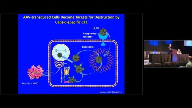 Immunogenicity of AAV Vectors and Transgenes - Roland Herzog смотреть онлайн