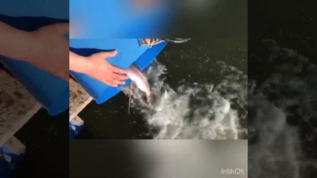 Рыбалка в Савельево-2! смотреть онлайн