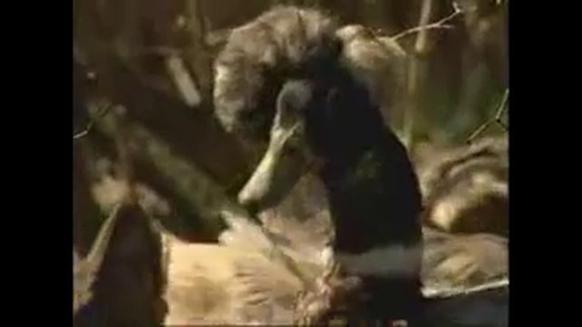 АПК Ленинградской области. Семейные фермы смотреть онлайн