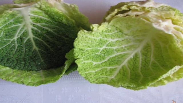 1000 и 1 рецепт