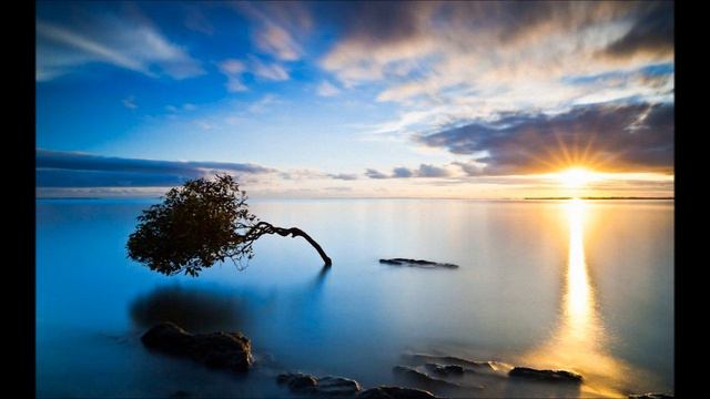 Franz Schubert, An die untergehende Sonne, Matthias Goerne смотреть онлайн