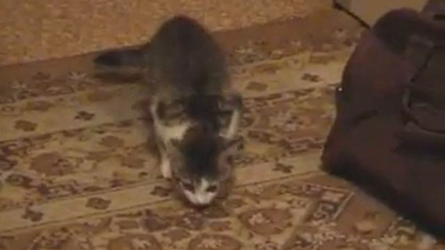 Аська дома смотреть онлайн