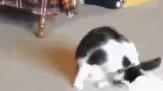 Вообще круто пацаны смотреть ролик смотреть онлайн