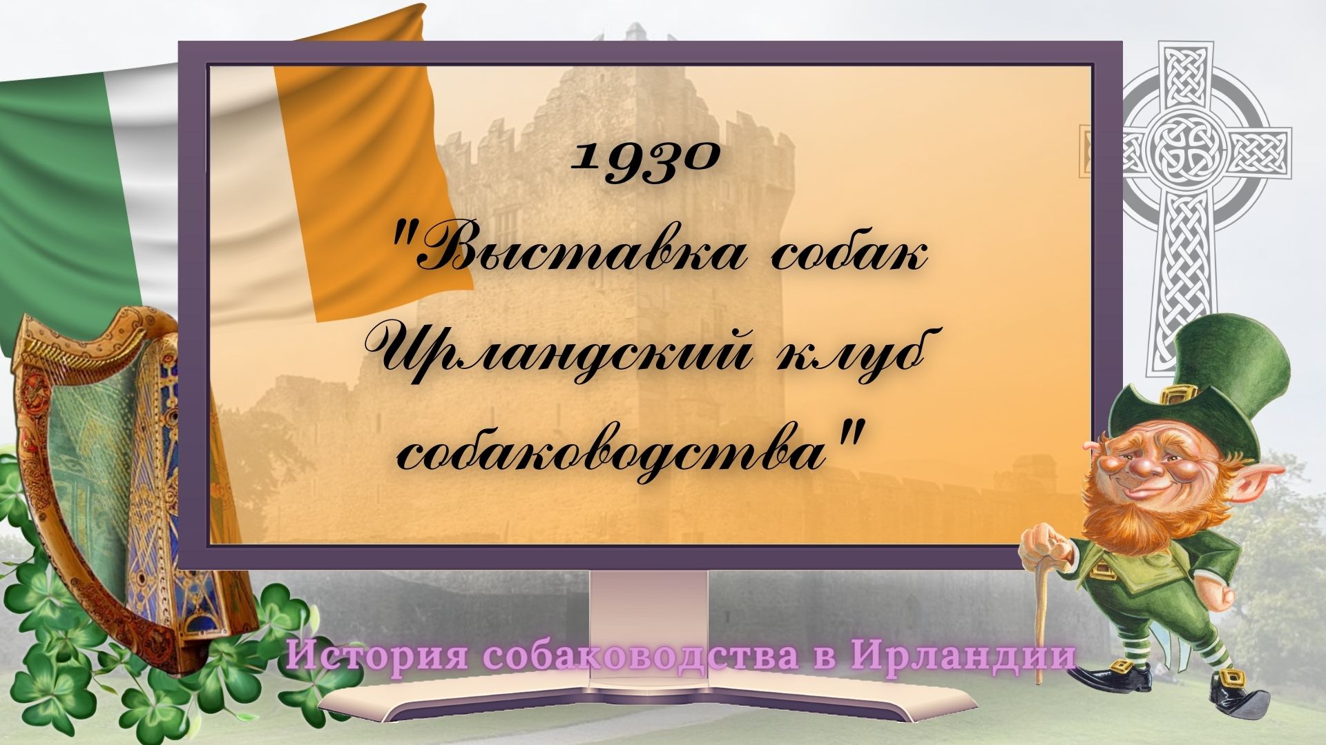1930 Выставка собак. Ирландский клуб собаководства.
