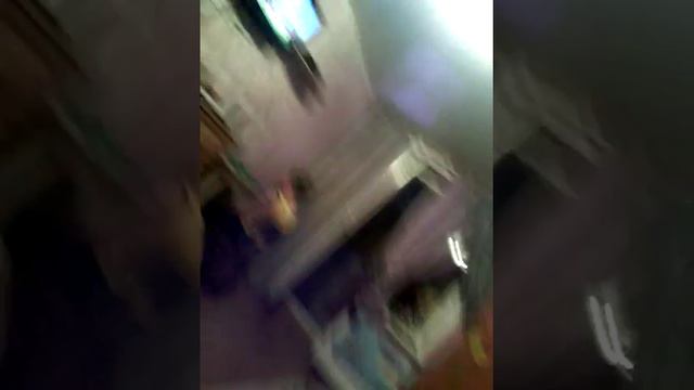 Мой шумный дом