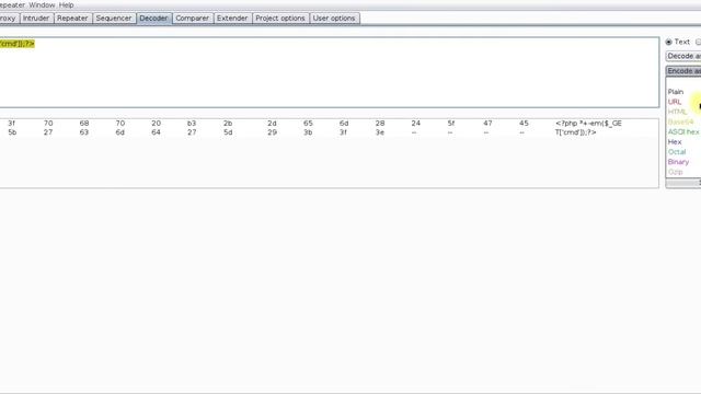 Local File Inclusion | LFI | DVWA| PHP Wrapper | PHP Filter | PHP Data | PHP Input | XSS via LFI смотреть онлайн