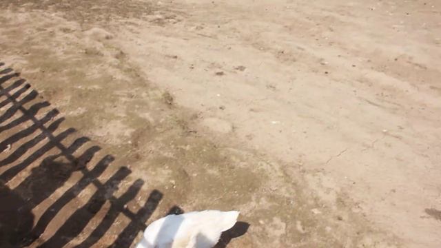 Парк Птиц Таганай смотреть онлайн