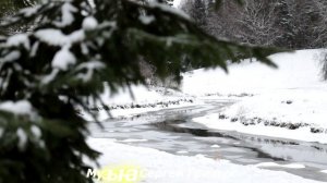 Грищук Сергей - Чародейка любовь