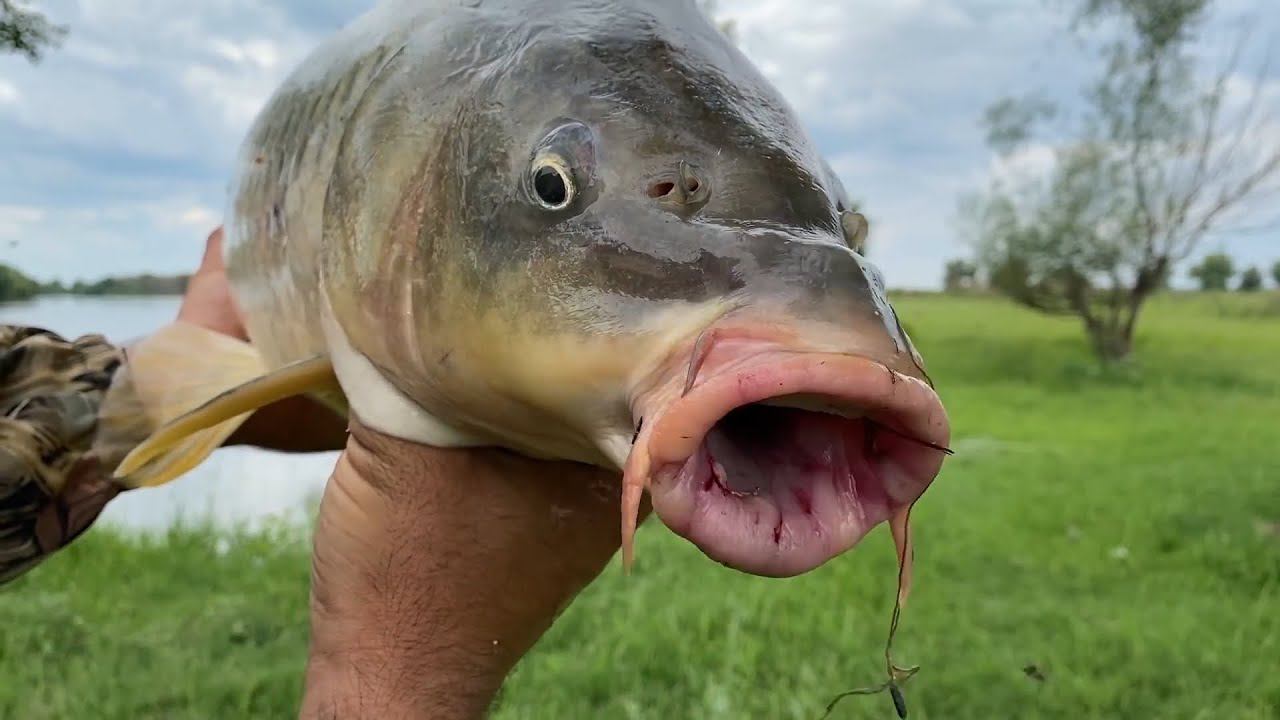 ПОДБОРКА ЛУЧШИХ МОМЕНТОВ ЗА 2022 ГОД. Рыбалка в Астраханской области. Это был рыбный год. смотреть онлайн