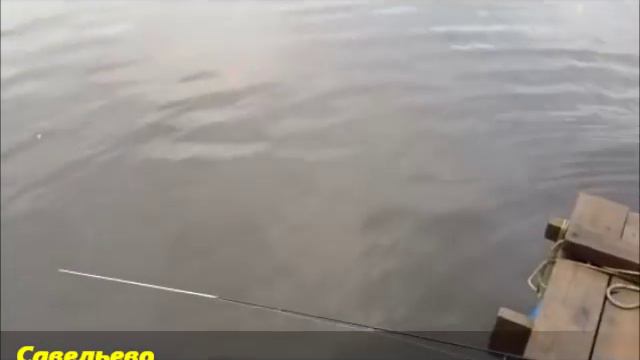 Савельево смотреть онлайн