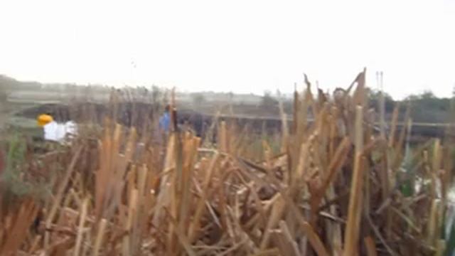 Бесплатная рыбалка на маленьком водоеме смотреть онлайн