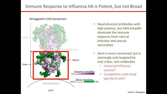 Adrian McDermott - Analysis of the relationship between antigen specific - 2015 смотреть онлайн