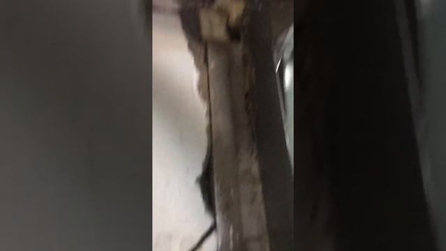 Привод на секционные подъемные ворота своми руками часть 1 смотреть онлайн