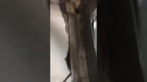 Привод на секционные подъемные ворота своми руками часть 1