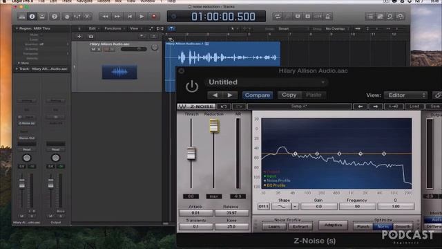 How to Remove Noise from your Podcast using the Z-Noise Plugin смотреть онлайн