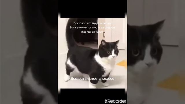 Школьный психолог смотреть онлайн