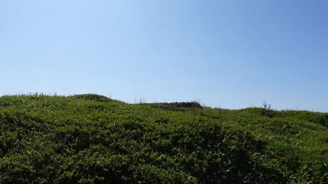 Lost WW2 Island found. German soldiers just left and nobody has been here since. UNREAL place ! смотреть онлайн