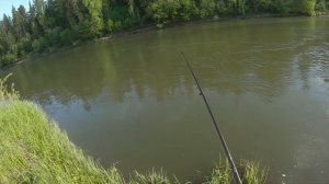 Удачная рыбалка на таёжной реке Мана. Щука на спиннинг.