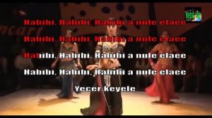 Amr Diab - Habibi Ya Nour El Ain -  karaoke
