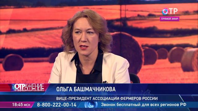 ОТРажение. Ольга Башмачникова. смотреть онлайн