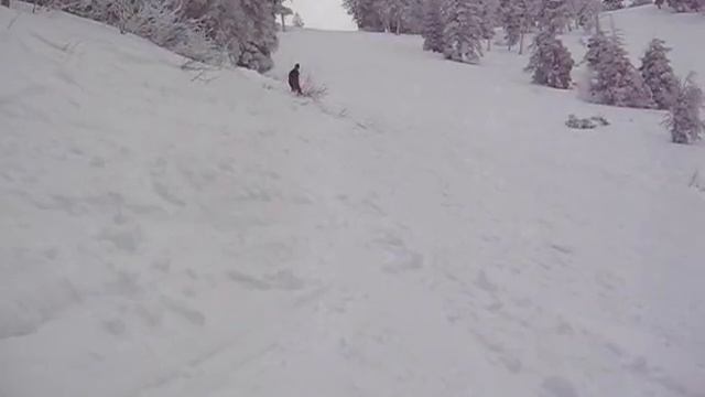 Majestic Trial in Bogus смотреть онлайн