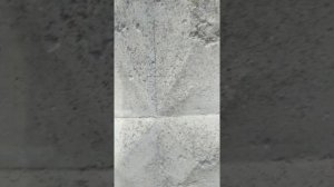 Выводим плесень  с бетона