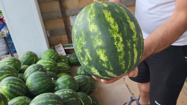 Лазаревское - арбузы и дыни в Июне. Как выбрать арбуз. 2022 смотреть онлайн