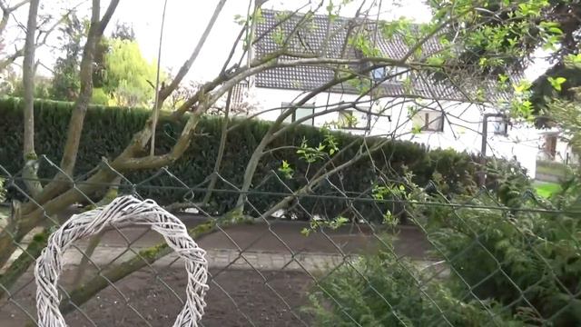 ТРЫН - ТРАВА! 🏠 смотреть онлайн