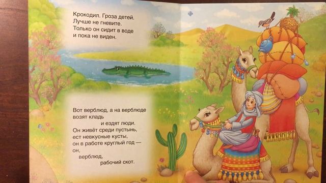 Что ни страница - то слон, то львица - читаем стихотворение вслух онлайн (аудио+анимация) смотреть онлайн