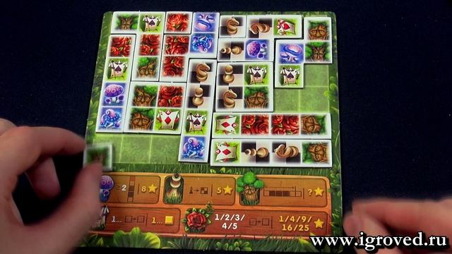 Лучшие настольные игры для одного. Подборка от Игроведа смотреть онлайн
