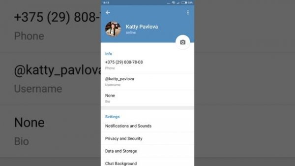 Создаём логин в Telegram