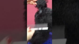 СТРИЖКА ПУДЕЛЯ / ГРУМИНГ ПУДЕЛЯ / Эпизод МАСТЕР-КЛАССА / GROOM SCHOOL