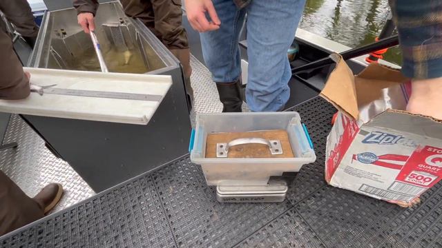 Electrofishing Research - Monitoring River Herring Populations In The Connecticut River Watershed
