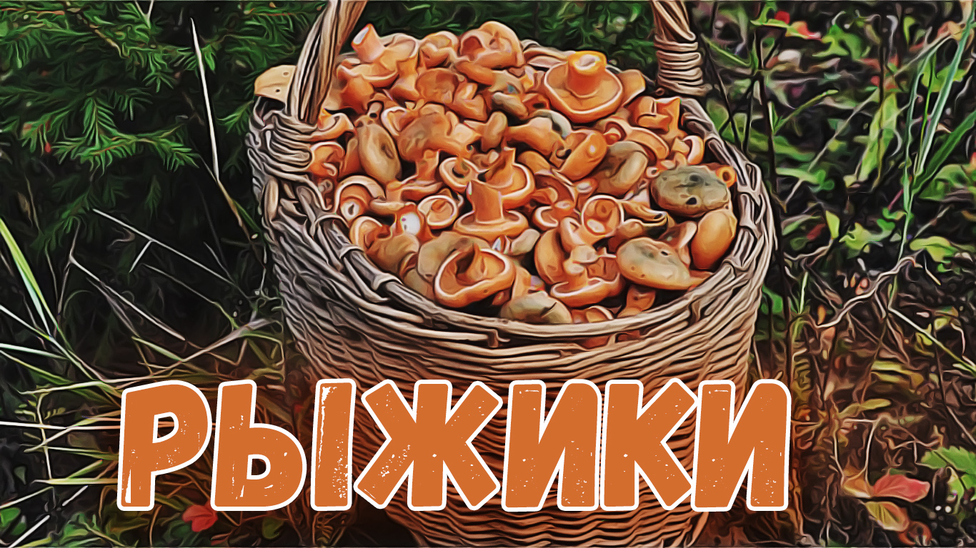 РЫЖИКИ смотреть онлайн