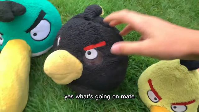 Angry Birds Power Trouble: Part 1 смотреть онлайн