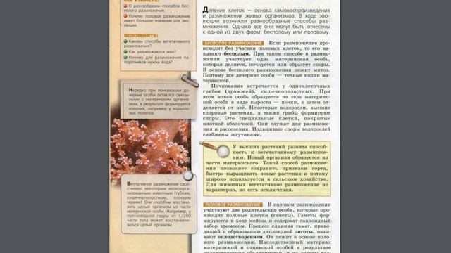 Биология (Л.Н.Сухорукова) 10-11к §13 Способы размножения организмов смотреть онлайн