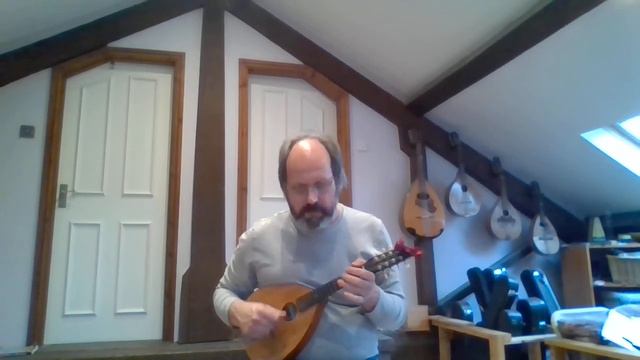 Amado Mio (tango from "Gilda"), mandolin & mandocello instrumental смотреть онлайн