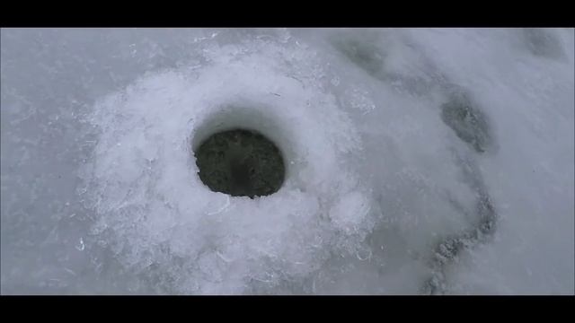 Ловля карпа в декабре. Как ловить карпа в декабре?Способы,на что и места где ловить карп в декабре. смотреть онлайн