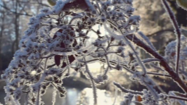 ИДИ МОЙ ДРУГ ВСЕГДА  ИДИ ДОРОГОЮ ДОБРА