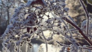 ИДИ МОЙ ДРУГ ВСЕГДА  ИДИ ДОРОГОЮ ДОБРА