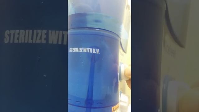 Nicefeel irrigator. UV lamp not work. смотреть онлайн