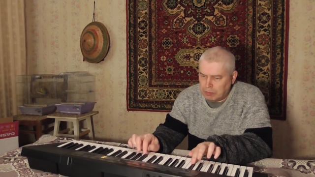 ГЕННАДИЙ ГОРИН ХИТ НА МУЗЫКАЛЬНОМ ИНСТРУМЕНТЕ | GOREAN | REMIX BY FIOLEV смотреть онлайн