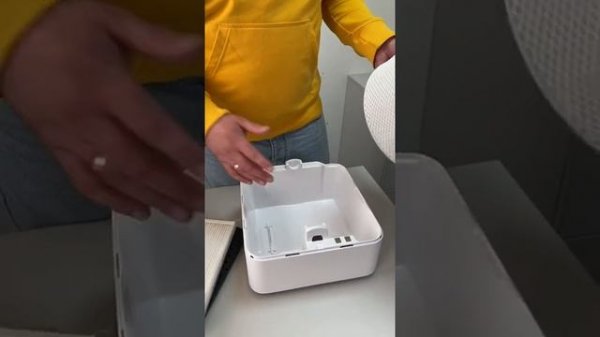 Обзор Boneco H300