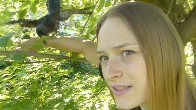 Шок! Птица сама уселась на меня и не хочет улетать смотреть онлайн