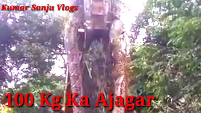 100 Kg Ka Ajgar Snack Pahli Bar Nikla Dhanbad Sindri me!!Kabhi nahi dekha hoga aapne смотреть онлайн