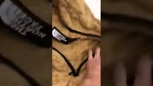 Кофта мужская The North Face D5050 коричневая смотреть онлайн