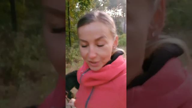 Chlamydia pneumoniae może niszczyć twój organizm | Iwona Wierzbicka Vlog смотреть онлайн
