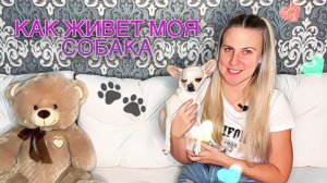 Знакомство с Ксю и Бонни