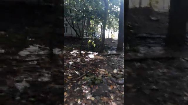 Сегодня мой видео город Пушкино смотреть онлайн